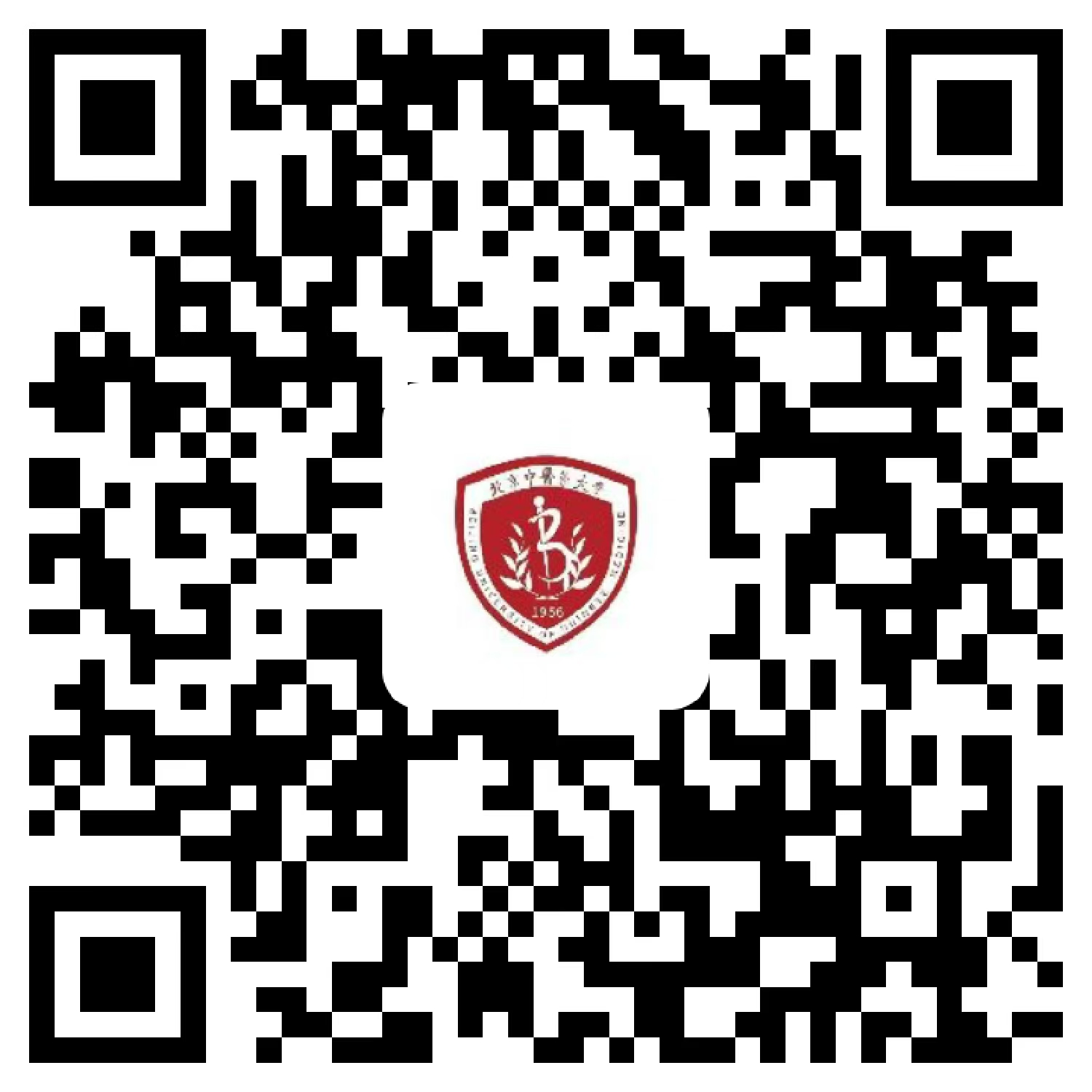 拥有开云线上官网正式成为山东泰山官方